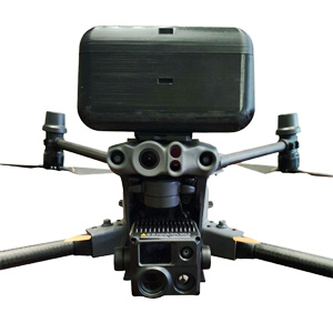 mounted